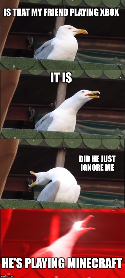 Inhaling Seagull Meme | IS THAT MY FRIEND PLAYING XBOX; IT IS; DID HE JUST IGNORE ME; HE’S PLAYING MINECRAFT | image tagged in memes,inhaling seagull | made w/ Imgflip meme maker