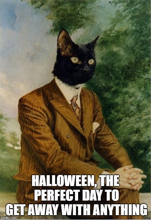 HALLOWEEN, THE PERFECT DAY TO GET AWAY WITH ANYTHING | image tagged in cat in a suit | made w/ Imgflip meme maker