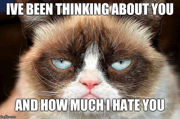 Grumpy Cat Not Amused Meme | IVE BEEN THINKING ABOUT YOU; AND HOW MUCH I HATE YOU | image tagged in memes,grumpy cat not amused,grumpy cat | made w/ Imgflip meme maker
