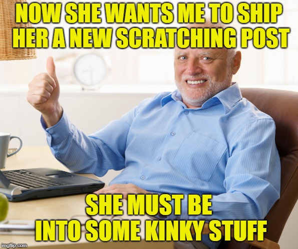 Hide the pain harold | NOW SHE WANTS ME TO SHIP HER A NEW SCRATCHING POST SHE MUST BE INTO SOME KINKY STUFF | image tagged in hide the pain harold | made w/ Imgflip meme maker