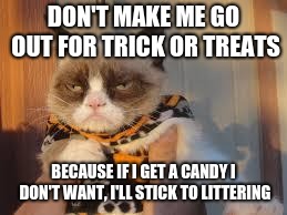 Grumpy Cat Halloween | DON'T MAKE ME GO OUT FOR TRICK OR TREATS; BECAUSE IF I GET A CANDY I DON'T WANT, I'LL STICK TO LITTERING | image tagged in memes,grumpy cat halloween,grumpy cat | made w/ Imgflip meme maker