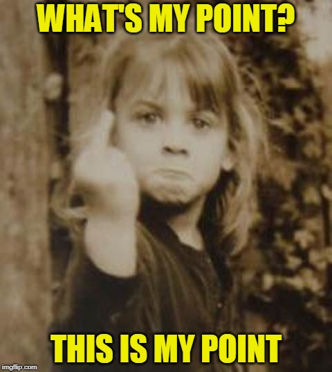 Read My Finger | WHAT'S MY POINT? THIS IS MY POINT | image tagged in little girl,flipping off | made w/ Imgflip meme maker