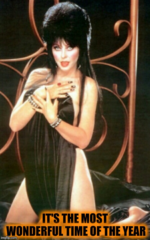 Elvira | IT'S THE MOST WONDERFUL TIME OF THE YEAR | image tagged in elvira | made w/ Imgflip meme maker