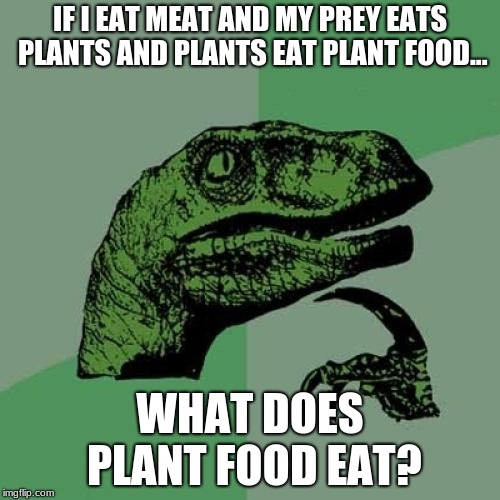 Philosoraptor Meme | IF I EAT MEAT AND MY PREY EATS PLANTS AND PLANTS EAT PLANT FOOD... WHAT DOES PLANT FOOD EAT? | image tagged in memes,philosoraptor | made w/ Imgflip meme maker