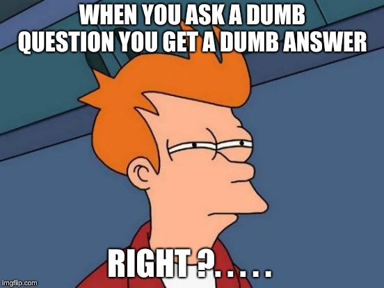 Futurama Fry Meme | WHEN YOU ASK A DUMB QUESTION YOU GET A DUMB ANSWER; RIGHT ?. . . . . | image tagged in memes,futurama fry | made w/ Imgflip meme maker
