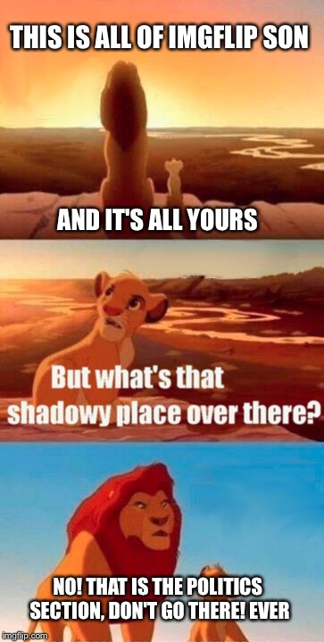 Also if we could get a NSFW section plz
 | THIS IS ALL OF IMGFLIP SON; AND IT'S ALL YOURS; NO! THAT IS THE POLITICS SECTION, DON'T GO THERE! EVER | image tagged in memes,simba shadowy place | made w/ Imgflip meme maker