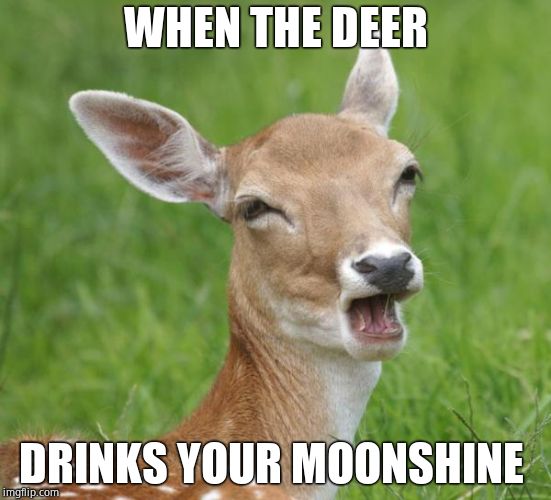 Go Home Bambi, You're Drunk | WHEN THE DEER DRINKS YOUR MOONSHINE | image tagged in go home bambi you're drunk | made w/ Imgflip meme maker