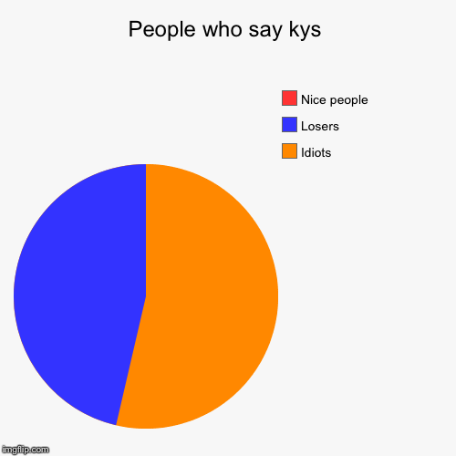 People who say kys | Idiots, Losers , Nice people | image tagged in funny,pie charts | made w/ Imgflip chart maker