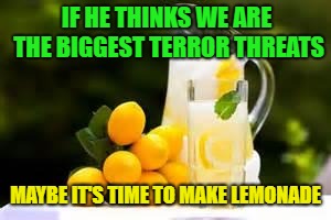 Lemonade | IF HE THINKS WE ARE THE BIGGEST TERROR THREATS; MAYBE IT'S TIME TO MAKE LEMONADE | image tagged in lemonade | made w/ Imgflip meme maker