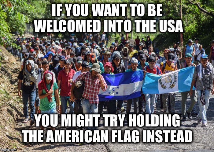 Uh, hellooooooo |  X | image tagged in illegal immigration,caravan,stars and stripes,common sense | made w/ Imgflip meme maker