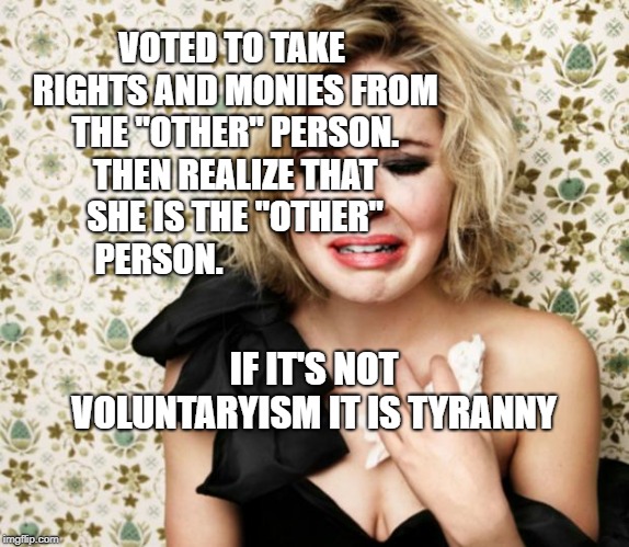 First World Problems Girl | VOTED TO TAKE RIGHTS AND MONIES FROM THE "OTHER" PERSON. THEN REALIZE THAT SHE IS THE "OTHER" PERSON. IF IT'S NOT VOLUNTARYISM IT IS TYRANNY | image tagged in first world problems girl | made w/ Imgflip meme maker