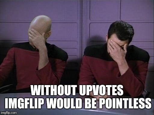 Double Facepalm | WITHOUT UPVOTES IMGFLIP WOULD BE POINTLESS | image tagged in double facepalm | made w/ Imgflip meme maker