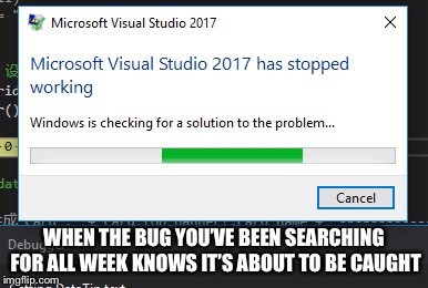 Visual Studio knows | WHEN THE BUG YOU’VE BEEN SEARCHING FOR ALL WEEK KNOWS IT’S ABOUT TO BE CAUGHT | image tagged in visual studio,bugs,debugging,programming,software | made w/ Imgflip meme maker
