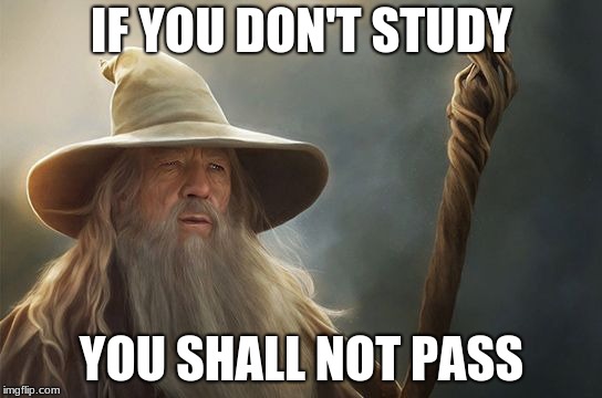 IF YOU DON'T STUDY; YOU SHALL NOT PASS | image tagged in gandalf,study | made w/ Imgflip meme maker