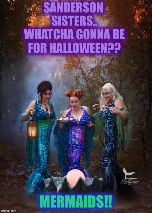 Even witches want to be mermaids for Halloween! | SANDERSON SISTERS.. WHATCHA GONNA BE FOR HALLOWEEN?? MERMAIDS!! | image tagged in mermaid,hocus pocus,witch | made w/ Imgflip meme maker