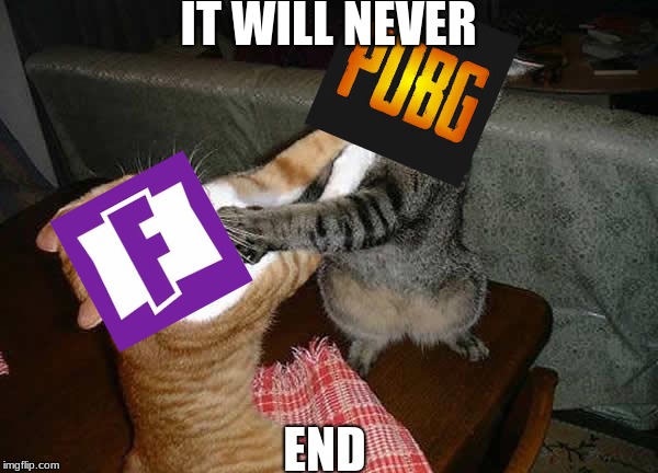 Two cats fighting for real | IT WILL NEVER; END | image tagged in two cats fighting for real | made w/ Imgflip meme maker