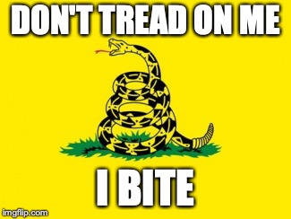 Gadsden Flag | DON'T TREAD ON ME; I BITE | image tagged in gadsden flag | made w/ Imgflip meme maker