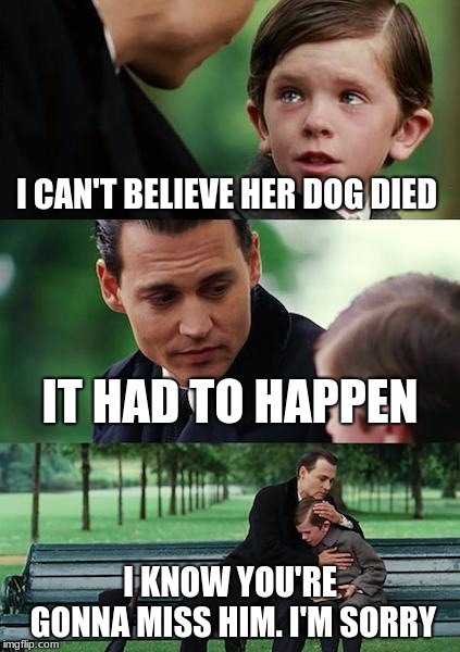 Finding Neverland Meme | I CAN'T BELIEVE HER DOG DIED IT HAD TO HAPPEN I KNOW YOU'RE GONNA MISS HIM. I'M SORRY | image tagged in memes,finding neverland | made w/ Imgflip meme maker