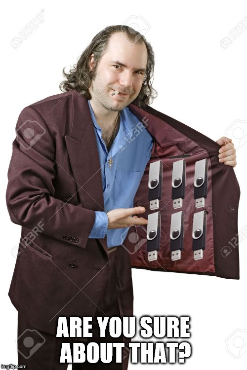 drug dealer jacket but with pendrives | ARE YOU SURE ABOUT THAT? | image tagged in drug dealer jacket but with pendrives | made w/ Imgflip meme maker