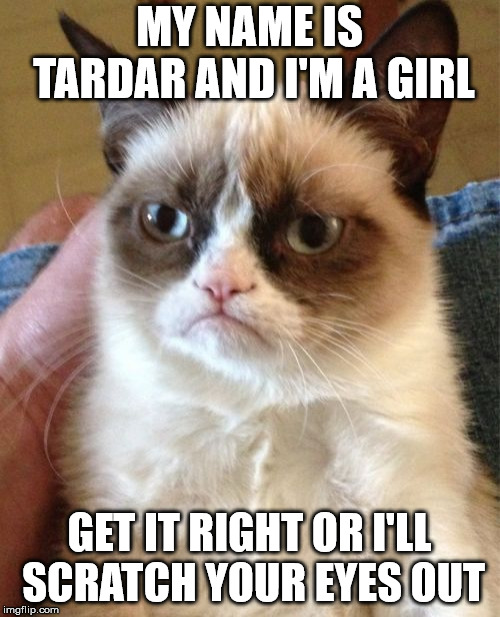 Grumpy Cat Meme | MY NAME IS TARDAR AND I'M A GIRL GET IT RIGHT OR I'LL SCRATCH YOUR EYES OUT | image tagged in memes,grumpy cat | made w/ Imgflip meme maker