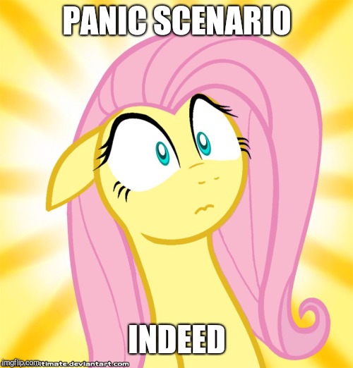 Shocked Fluttershy | PANIC SCENARIO INDEED | image tagged in shocked fluttershy | made w/ Imgflip meme maker