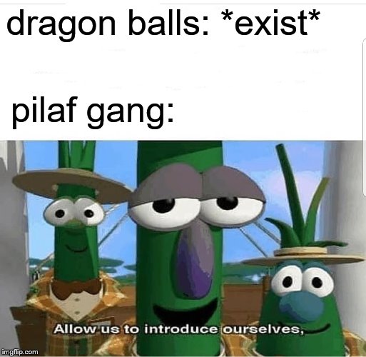 Allow us to introduce ourselves | dragon balls: *exist*; pilaf gang: | image tagged in allow us to introduce ourselves | made w/ Imgflip meme maker