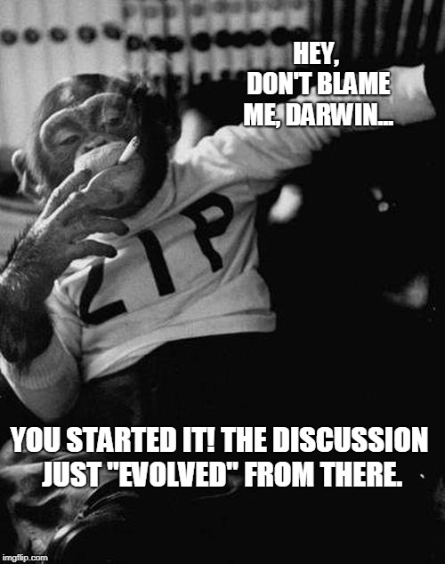 Darwin's Evolution | HEY, DON'T BLAME ME, DARWIN... YOU STARTED IT! THE DISCUSSION JUST "EVOLVED" FROM THERE. | image tagged in smoking monkey,darwin,funny,evolution,science | made w/ Imgflip meme maker