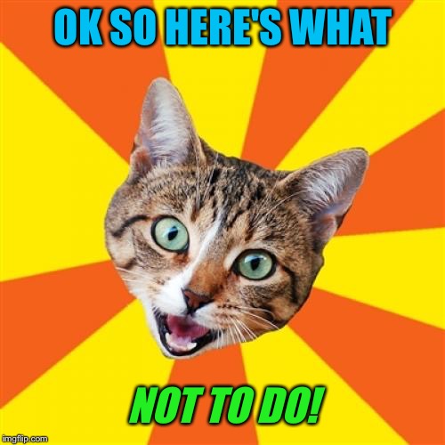 Bad Advice Cat Meme | OK SO HERE'S WHAT NOT TO DO! | image tagged in memes,bad advice cat | made w/ Imgflip meme maker