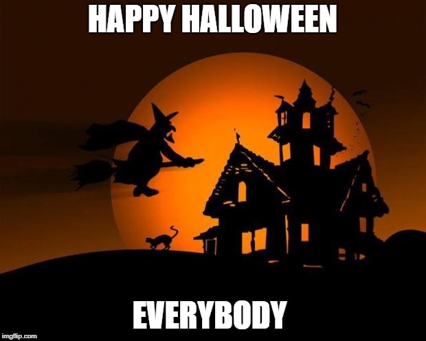 happy halloween | HAPPY HALLOWEEN; EVERYBODY | image tagged in happy halloween | made w/ Imgflip meme maker