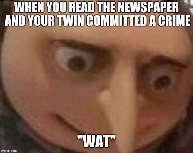 gru meme | WHEN YOU READ THE NEWSPAPER AND YOUR TWIN COMMITTED A CRIME; "WAT" | image tagged in gru meme | made w/ Imgflip meme maker