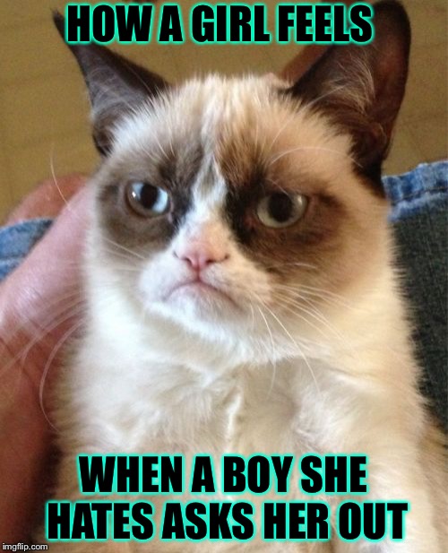 Grumpy Cat Meme | HOW A GIRL FEELS; WHEN A BOY SHE HATES ASKS HER OUT | image tagged in memes,grumpy cat | made w/ Imgflip meme maker
