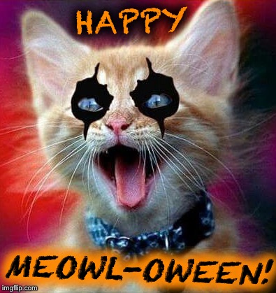HAPPY; MEOWL-OWEEN! | image tagged in happy halloween,alice cooper,funny cats,phantasmemegoric | made w/ Imgflip meme maker