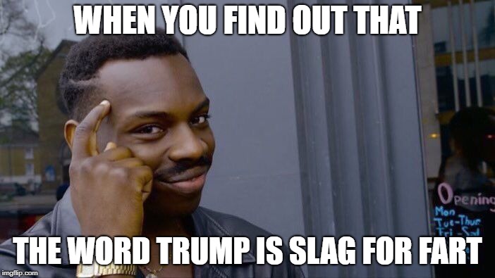 Roll Safe Think About It Meme | WHEN YOU FIND OUT THAT; THE WORD TRUMP IS SLAG FOR FART | image tagged in memes,roll safe think about it | made w/ Imgflip meme maker