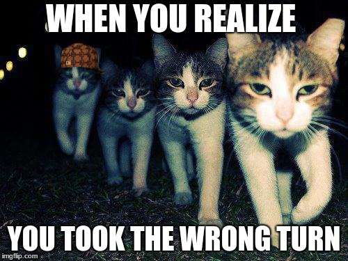 Wrong Neighboorhood Cats | WHEN YOU REALIZE; YOU TOOK THE WRONG TURN | image tagged in memes,wrong neighboorhood cats,scumbag | made w/ Imgflip meme maker