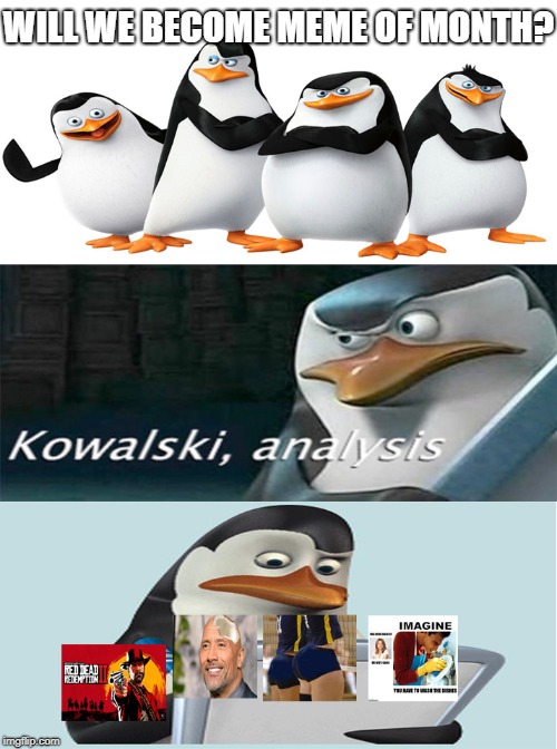 Analysing | WILL WE BECOME MEME OF MONTH? | image tagged in penguins,madagascar,funny,memes,october,2018 | made w/ Imgflip meme maker