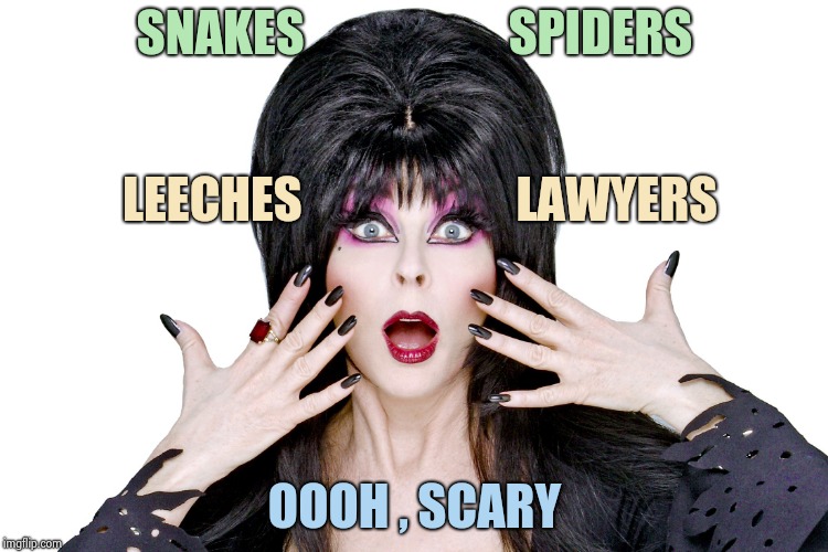 Elvira | SNAKES                     SPIDERS OOOH , SCARY LEECHES                      LAWYERS | image tagged in elvira | made w/ Imgflip meme maker