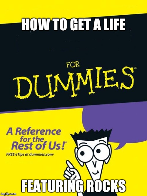 For dummies book | HOW TO GET A LIFE; FEATURING ROCKS | image tagged in for dummies book | made w/ Imgflip meme maker