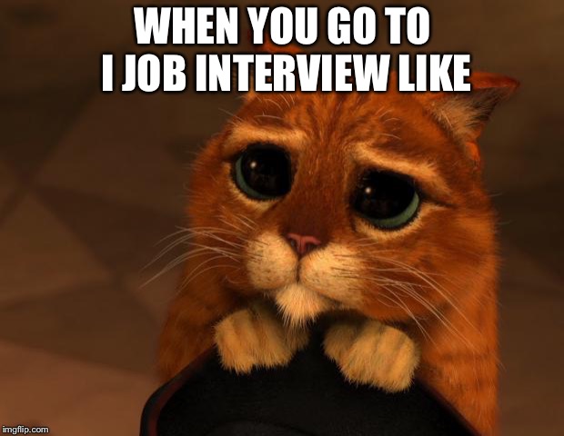 puss in boots eyes |  WHEN YOU GO TO I JOB INTERVIEW LIKE | image tagged in puss in boots eyes | made w/ Imgflip meme maker