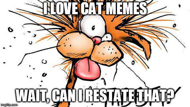 Bill the Cat THBBFT | I LOVE CAT MEMES; WAIT, CAN I RESTATE THAT? | image tagged in bill the cat thbbft | made w/ Imgflip meme maker