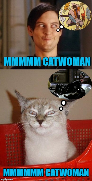 Catwoman | MMMMM CATWOMAN; MMMMMM CATWOMAN | image tagged in funny memes,cat,catwoman | made w/ Imgflip meme maker