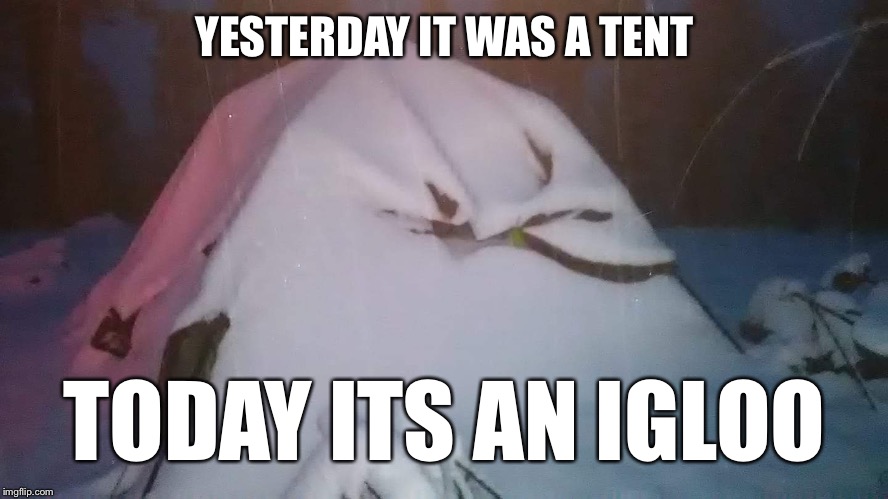YESTERDAY IT WAS A TENT; TODAY ITS AN IGLOO | image tagged in camping,memes | made w/ Imgflip meme maker