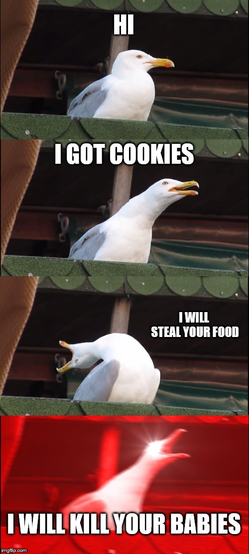 Inhaling Seagull | HI; I GOT COOKIES; I WILL STEAL YOUR FOOD; I WILL KILL YOUR BABIES | image tagged in memes,inhaling seagull | made w/ Imgflip meme maker