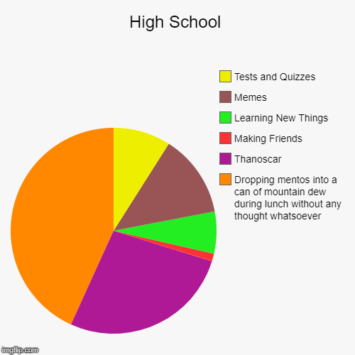 High School | Dropping mentos into a can of mountain dew during lunch without any thought whatsoever, Thanoscar, Making Friends, Learning Ne | image tagged in funny,pie charts | made w/ Imgflip chart maker