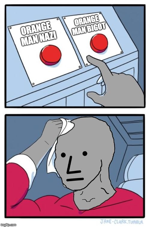 Which Insult Today? | ORANGE MAN BIGOT; ORANGE MAN NAZI | image tagged in npc choice dilema | made w/ Imgflip meme maker