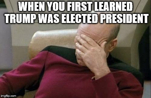 Captain Picard Facepalm | WHEN YOU FIRST LEARNED TRUMP WAS ELECTED PRESIDENT | image tagged in memes,captain picard facepalm | made w/ Imgflip meme maker