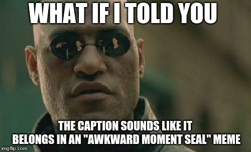 Matrix Morpheus Meme | WHAT IF I TOLD YOU THE CAPTION SOUNDS LIKE IT BELONGS IN AN "AWKWARD MOMENT SEAL" MEME | image tagged in memes,matrix morpheus | made w/ Imgflip meme maker