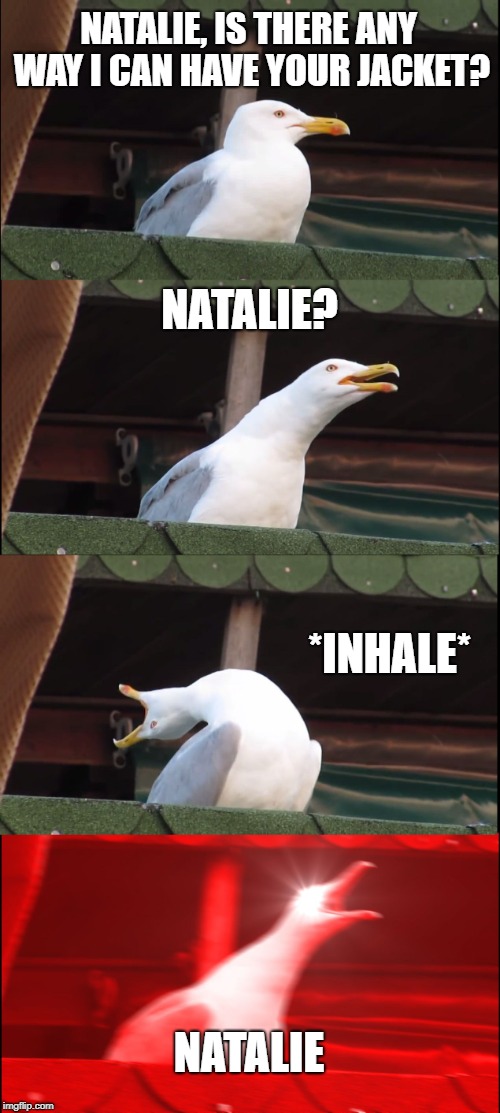 Inhaling Seagull | NATALIE, IS THERE ANY WAY I CAN HAVE YOUR JACKET? NATALIE? *INHALE*; NATALIE | image tagged in memes,inhaling seagull | made w/ Imgflip meme maker