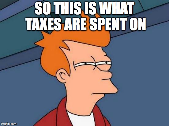 Futurama Fry Meme | SO THIS IS WHAT TAXES ARE SPENT ON | image tagged in memes,futurama fry | made w/ Imgflip meme maker