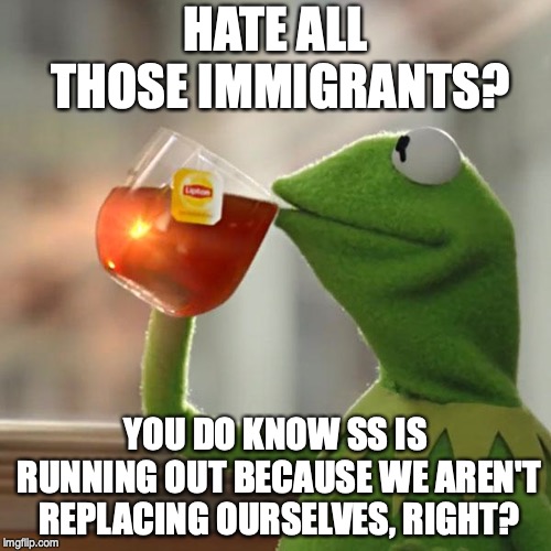 But That's None Of My Business | HATE ALL THOSE IMMIGRANTS? YOU DO KNOW SS IS RUNNING OUT BECAUSE WE AREN'T REPLACING OURSELVES, RIGHT? | image tagged in memes,but thats none of my business,kermit the frog | made w/ Imgflip meme maker