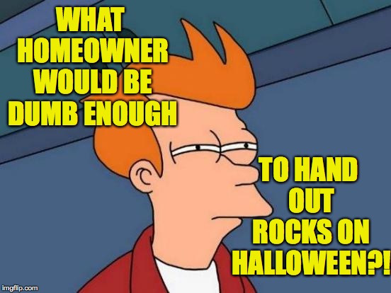 Futurama Fry Meme | WHAT HOMEOWNER WOULD BE DUMB ENOUGH TO HAND OUT ROCKS ON HALLOWEEN?! | image tagged in memes,futurama fry | made w/ Imgflip meme maker
